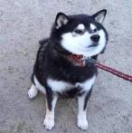 递延所得税产生的几种情况（递延所得税很难理解）(3)