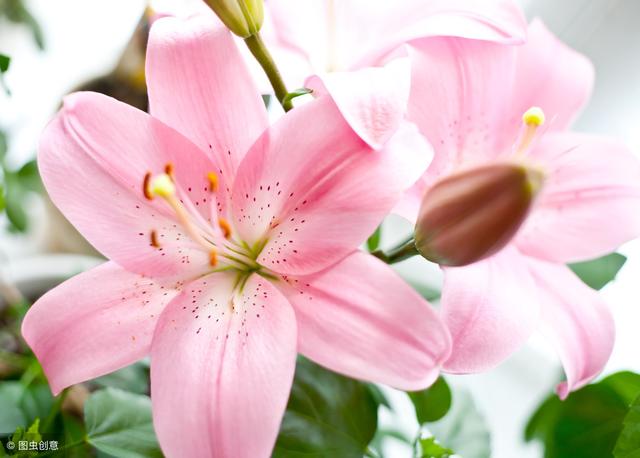 人穷无亲树瘦无荫后半句(人穷无亲树瘦无荫)(10)