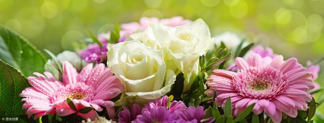 人穷无亲树瘦无荫后半句(人穷无亲树瘦无荫)(2)