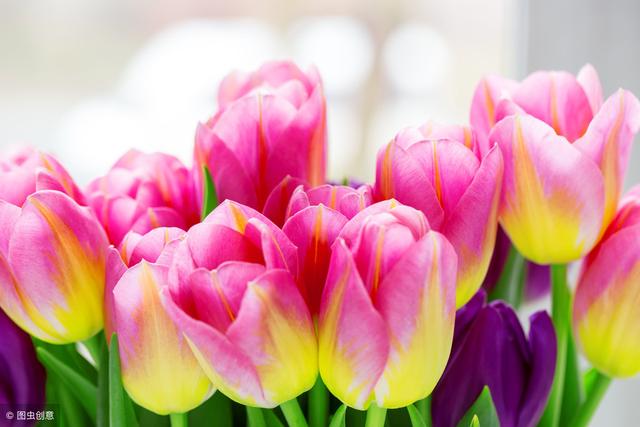 人穷无亲树瘦无荫后半句(人穷无亲树瘦无荫)(4)