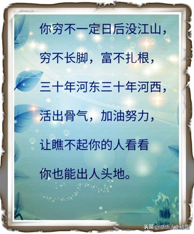 人穷无亲树瘦无荫后半句(人穷无亲树瘦无荫)(5)