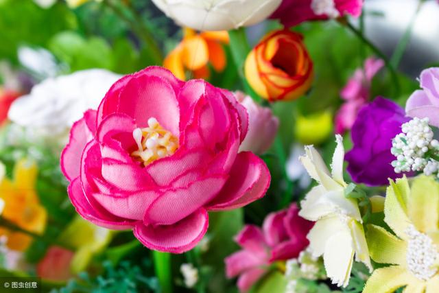 人穷无亲树瘦无荫后半句(人穷无亲树瘦无荫)(6)