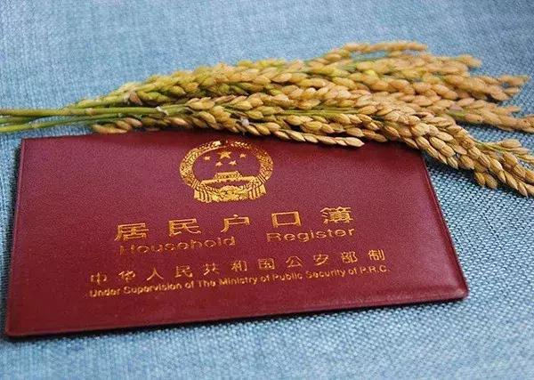 以后农村户口有什么好处(农村户口有什么好处)(3)