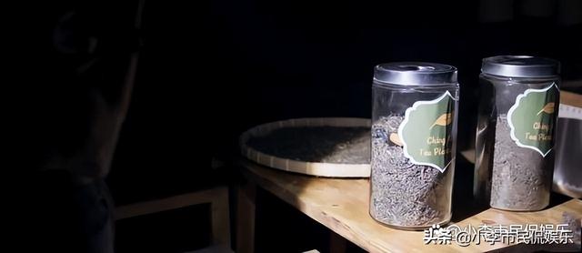 暗夜行者廖永嘉知道骆翔是陈陌吗(暗夜行者张欣瑶是颂猜的手下)(9)