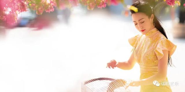 传统筝曲选(别有深情一万重)(2)