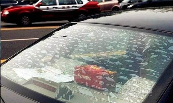 一般4s店贴膜需要多长时间（为何聪明人不在4S店贴膜）(3)