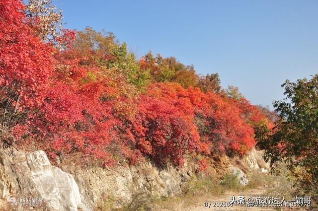 我的家乡在河南南阳（老家河南之南阳）(4)