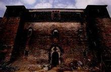 赤坎古镇的历史（赤坎古镇由区内土壤属砖红壤）(9)