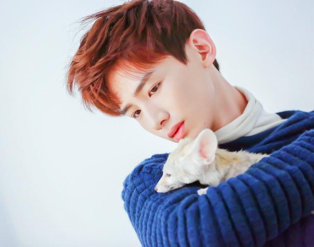 平凡的荣耀赵又廷白敬亭(平凡的荣耀赵又廷男人味)(2)