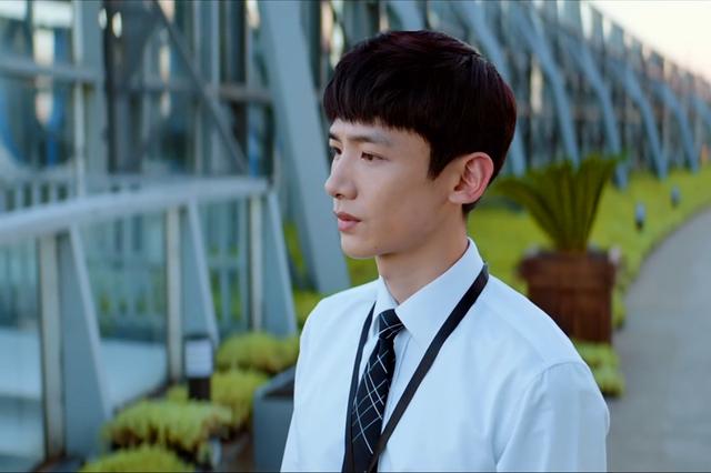 平凡的荣耀赵又廷白敬亭(平凡的荣耀赵又廷男人味)(6)