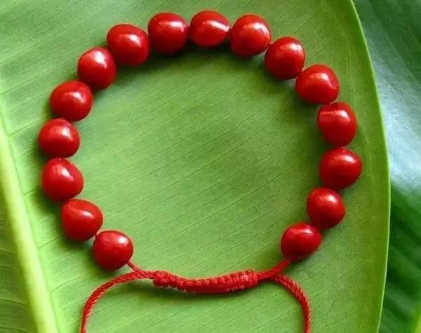 猛犸手串属于禁卖吗(有些手串比毒蛇还毒)(5)