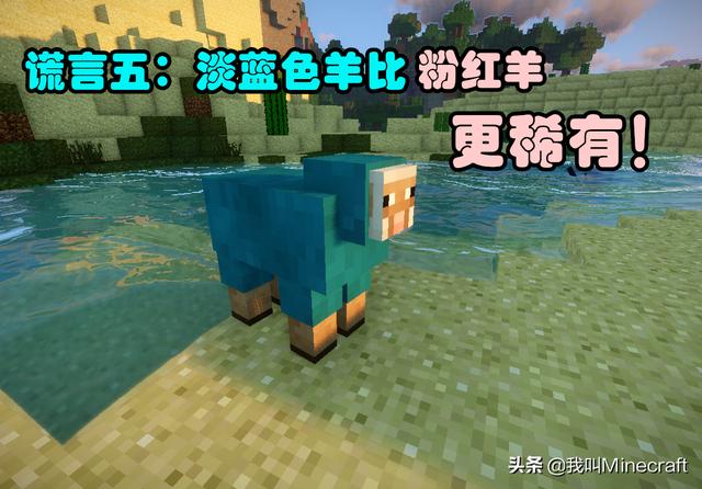 我的世界mc怪事（我的世界mc会尿床）(5)