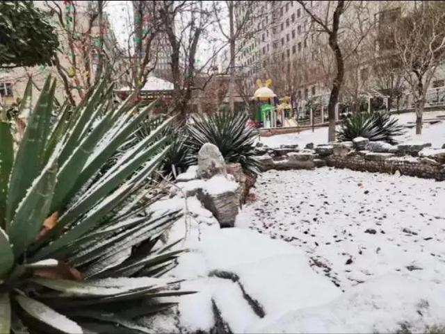 2023年的春节是冷冬还是暖冬（2022年腊月小年一过）(7)