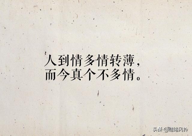 情诗相思短句(平生不会相思才会相思)(4)
