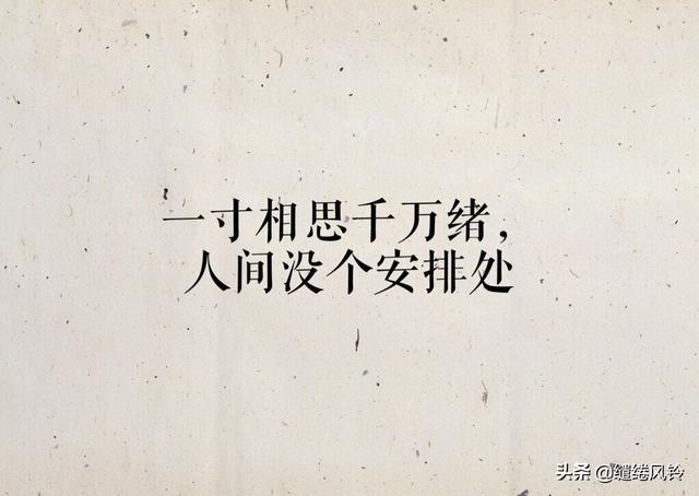 情诗相思短句(平生不会相思才会相思)(5)