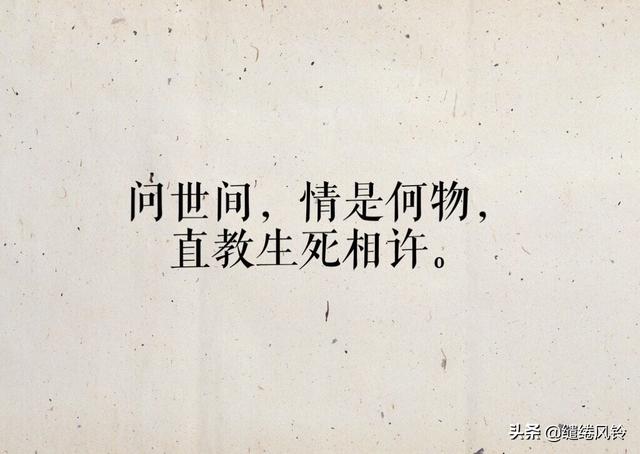 情诗相思短句(平生不会相思才会相思)(6)