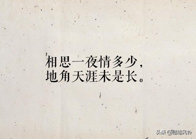 情诗相思短句(平生不会相思才会相思)(7)