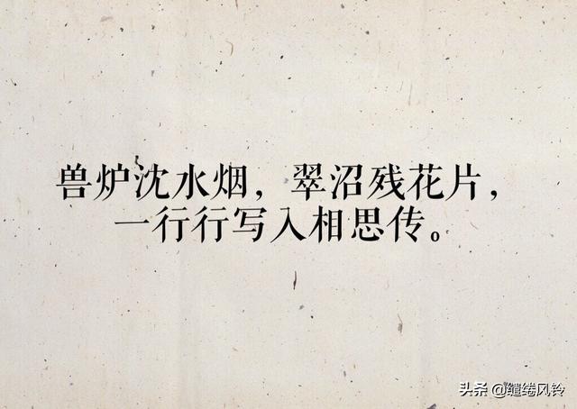 情诗相思短句(平生不会相思才会相思)(8)