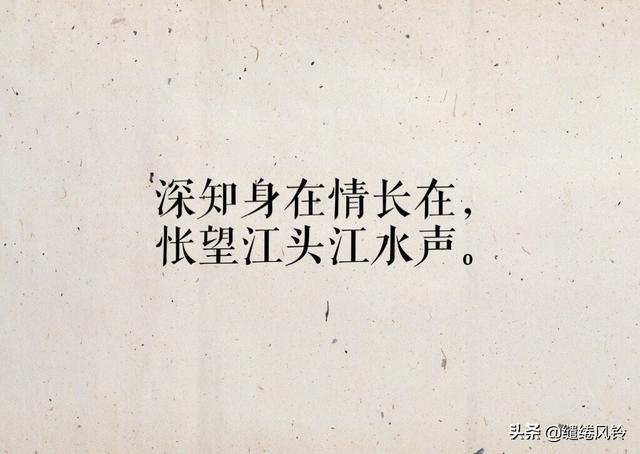 情诗相思短句(平生不会相思才会相思)(9)