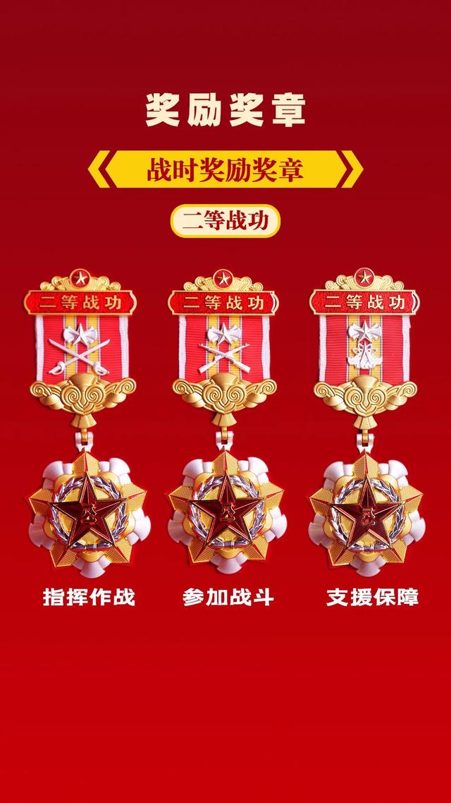 铁十字勋章现在还有吗（新式勋章高清亮相）(16)