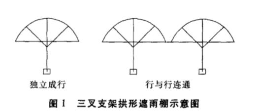 樱桃掉果缺什么肥（甜樱桃裂果了先搞懂原因）(5)