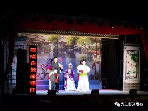 望江黄梅戏剧团演出怎么买票（安庆望江排演龙腔）