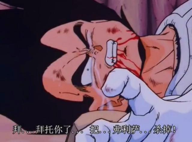 七龙珠z哪一个最好玩（七龙珠的龙珠Z篇集）(5)