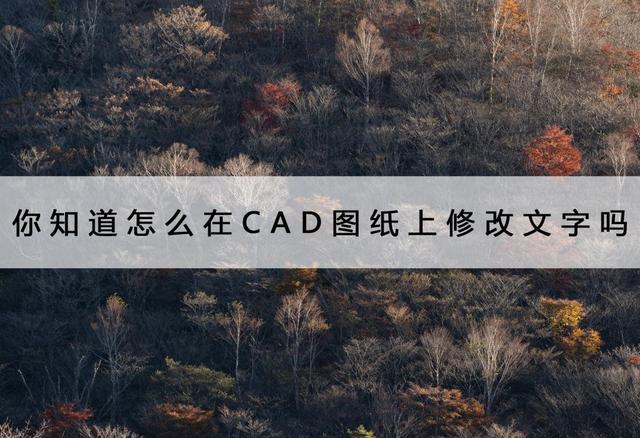 cad批量更改文字大小（你知道怎么在CAD图纸上修改文字吗）(1)