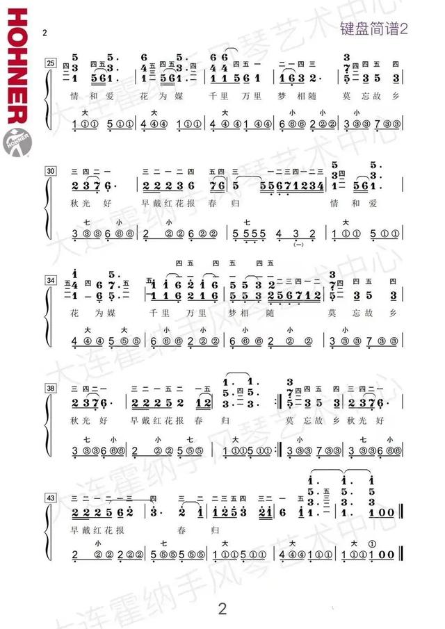 手风琴音阶练习曲谱（手风琴谱在水一方天空之城绒花芦花飘落）(18)