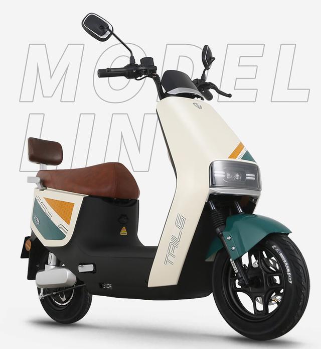 爱玛雅迪台铃三款电动车哪个好（电动车降价潮来了）(3)