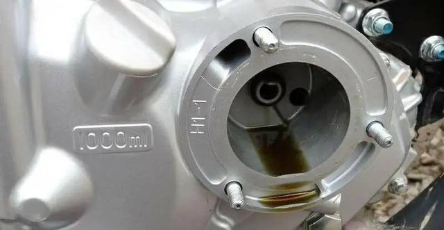 摩托车放置不骑怎么保养（爱车保养经验篇）(3)