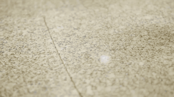 公认十大最好房车（史上最大房车111平方重30吨）(24)