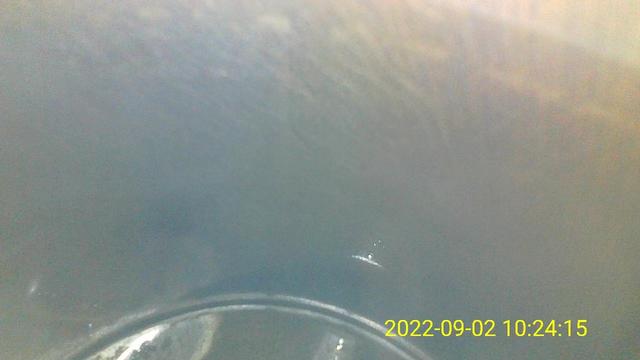 05年奥迪a6l烧机油怎么办(奥迪A6L烧机油无损修复解决烧机油问题)(6)