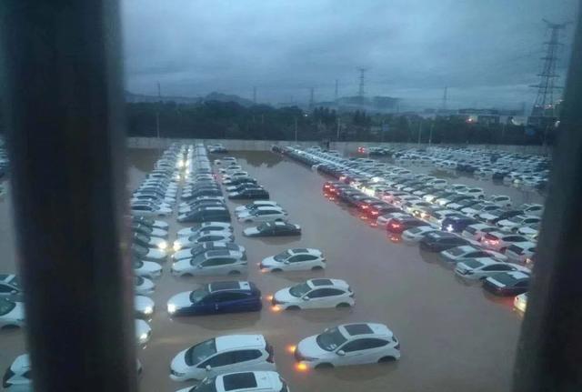 汽车水淹后有什么影响（又到家门看海季）(3)