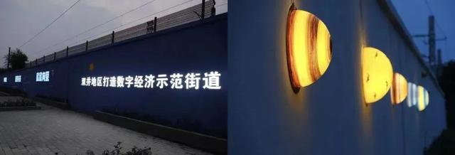 独家独院花园效果（双生之树点亮22院街区）(16)