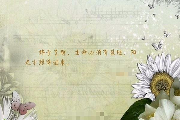 爱意被消磨殆尽自然就停止了（错过就像暗夜里的阳光）(1)