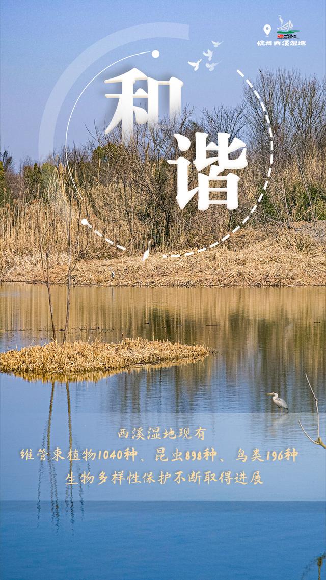 西溪湿地现在的功能（透过这些关键词感受西溪湿地的独特韵味）(3)