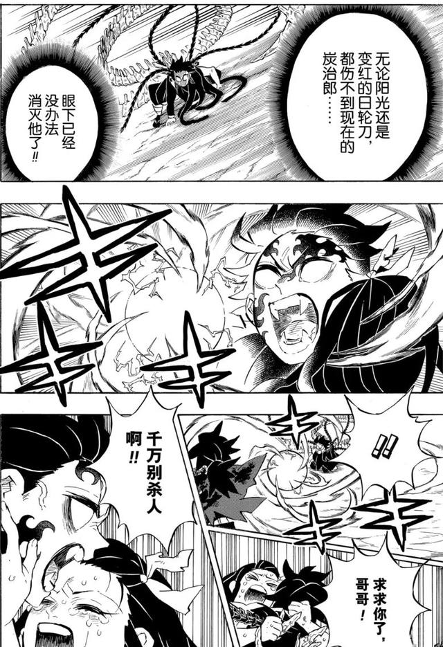 鬼灭之刃23 26（鬼灭之刃-202）(10)