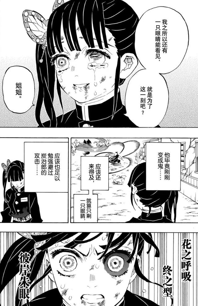 鬼灭之刃23 26（鬼灭之刃-202）(16)