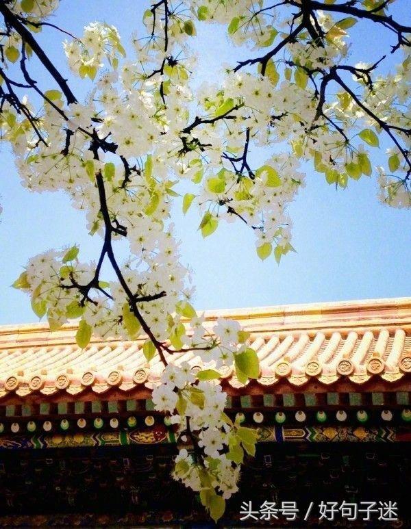 李商隐最有名的一首诗全篇名句（李商隐经典语录诗词）(4)
