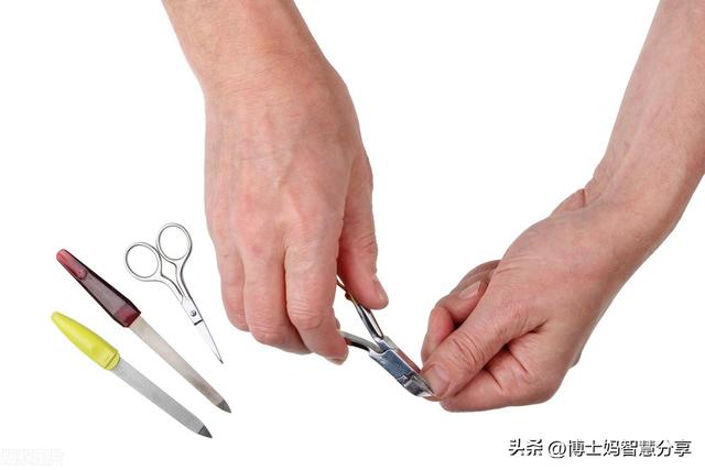 成功为孝（带孝而行）(3)