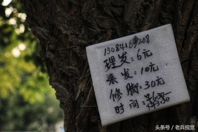美丽大连浪漫的夏季海边（南山南山邂逅那时的大连）(31)