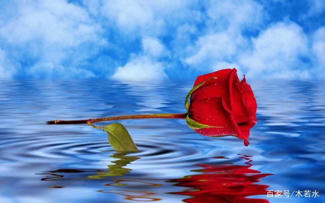 红尘有你辽宁(红尘有你文木若水)(6)