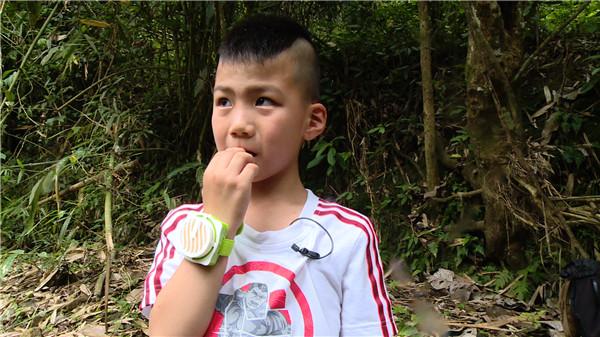 爸爸去哪儿4安吉的人气（爸爸去哪儿四季男孩大PK）(6)