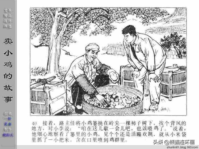 寓言故事连环画12册全套书链接（连环画卖小鸡的故事）(42)