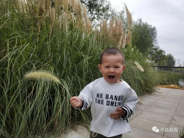 要是累了就笑一笑吧(嘿累了吗你笑一个吧)(4)