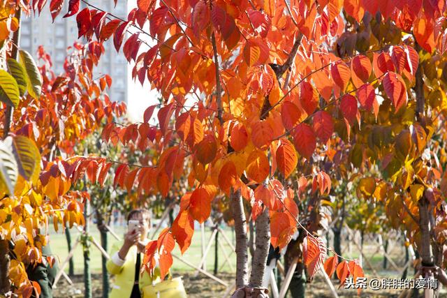 看到的世界就是你内心的样子(用一只眼看世界)(1)