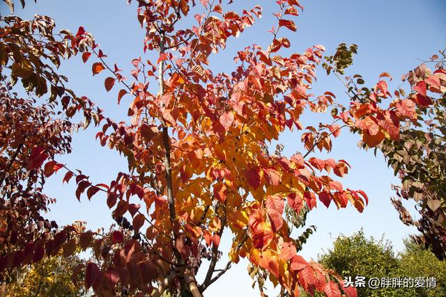 看到的世界就是你内心的样子(用一只眼看世界)(2)