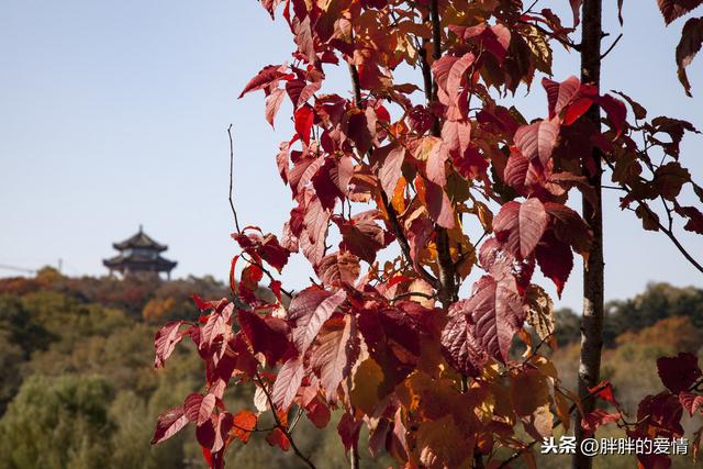 看到的世界就是你内心的样子(用一只眼看世界)(3)