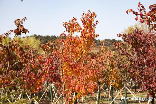 看到的世界就是你内心的样子(用一只眼看世界)(4)